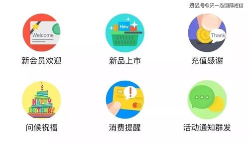 融合短信營銷技巧與信息系統運行維護服務，打造穩固顧客關系