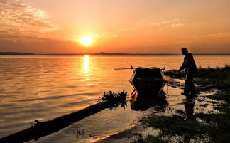 光影瞬間，生活之美 手機(jī)攝影作品精選賞析