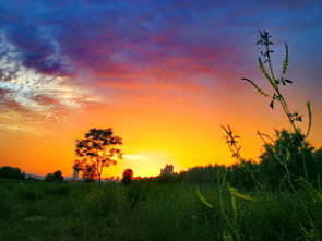 美圖分享丨手機(jī)攝影 第769期 市場(chǎng)推廣宣傳